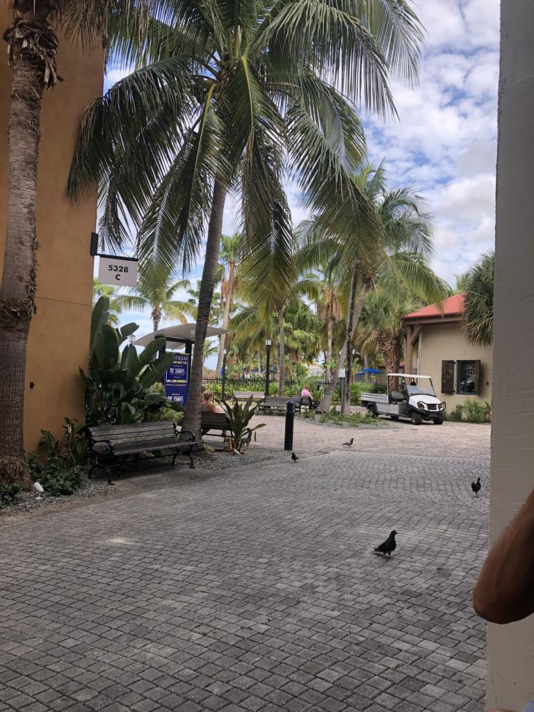 Coffee view3653.JPG