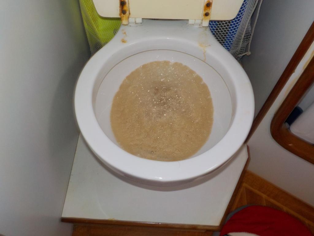 Monster from the black latrine.JPG