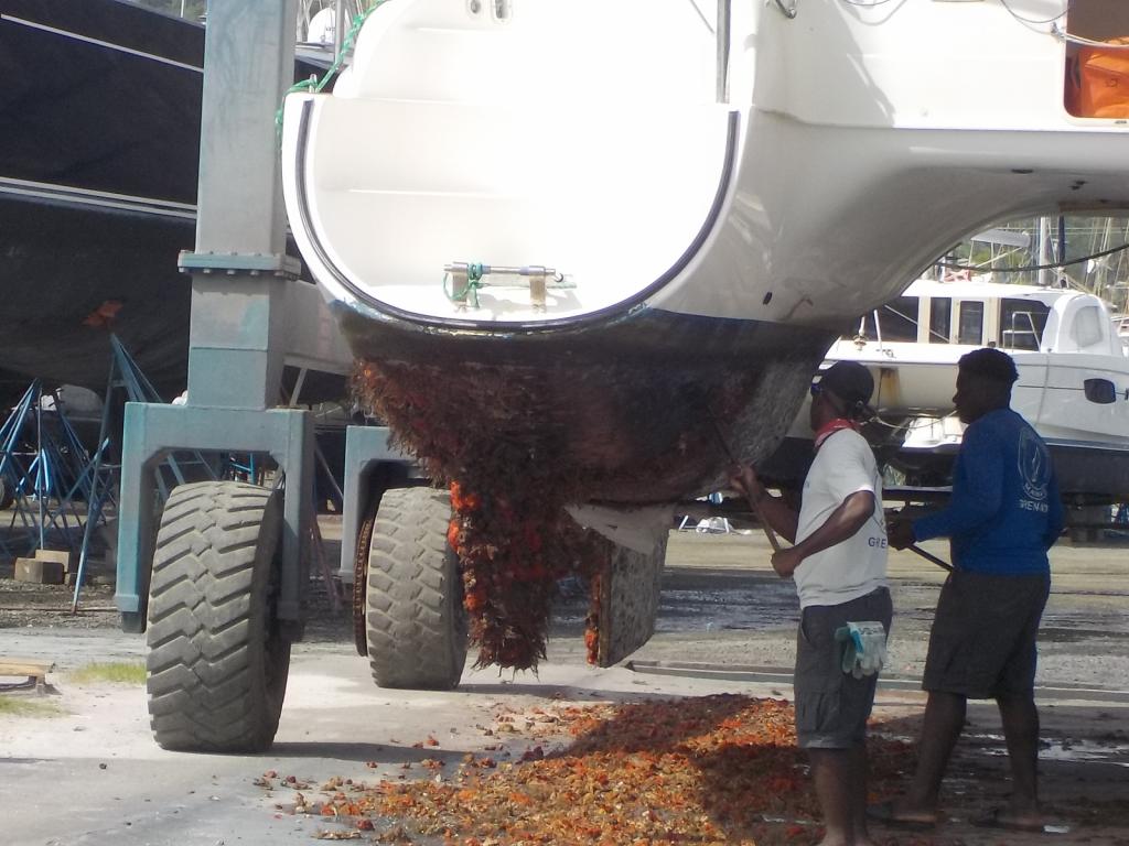 Boat before us with its own coral reef.jpeg