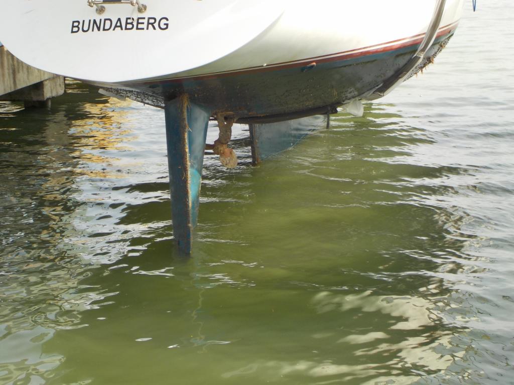 4 Slow rise out of the water.jpeg