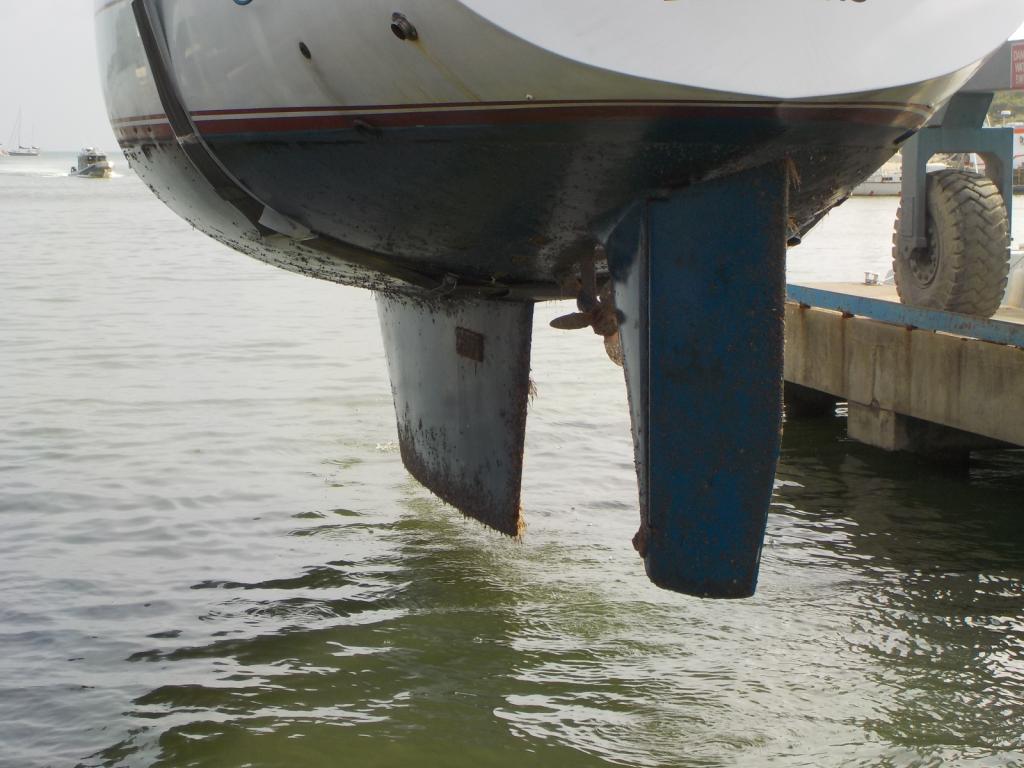 5 Floating above the water.jpeg