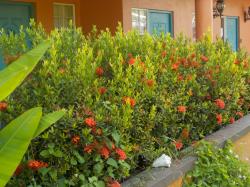 Gardens at Cool Running apartment2069.jpeg