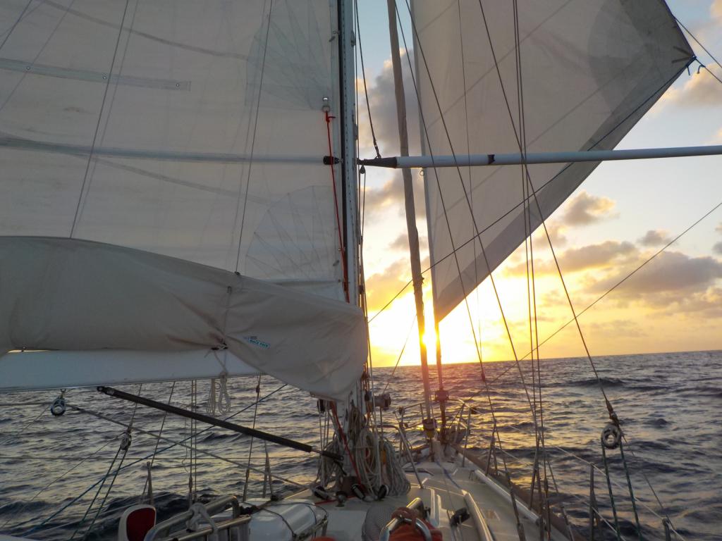 Reefed mainsail.jpeg