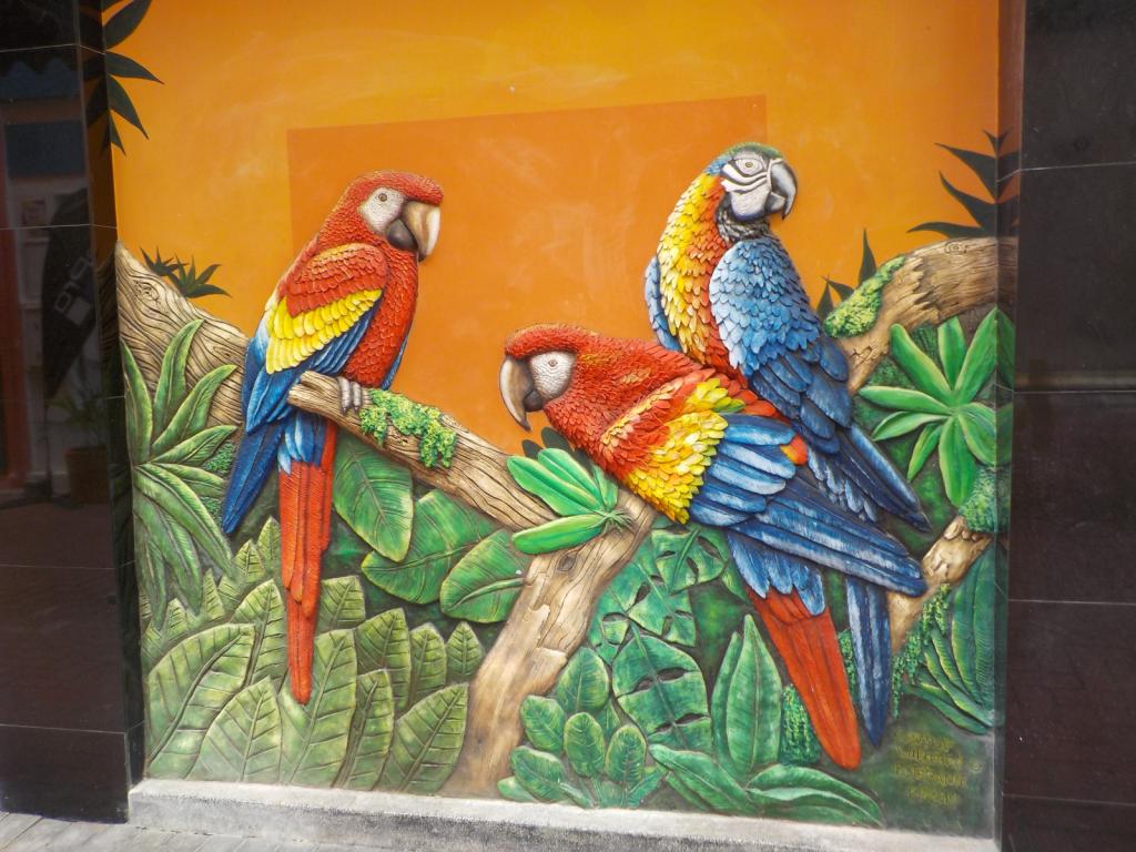 Pretty Polly.jpeg