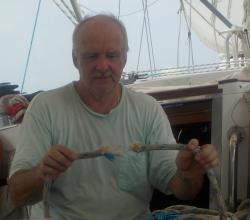 Broken Jib halyard.jpeg