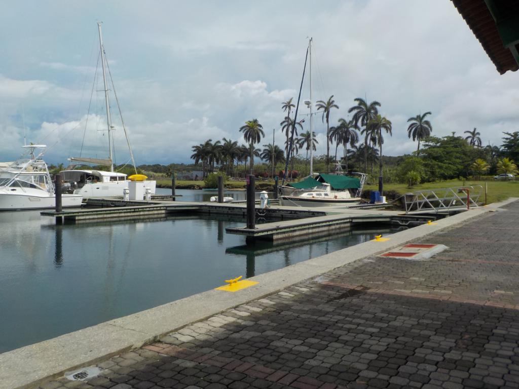 End of marina at edge of jungle.jpeg