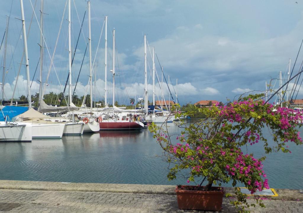 Looking out to our boat on C dock(at the far end).jpeg