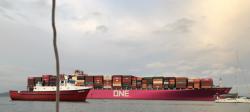 Pink ship.jpeg