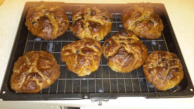 B.A.M.E Buns.jpg