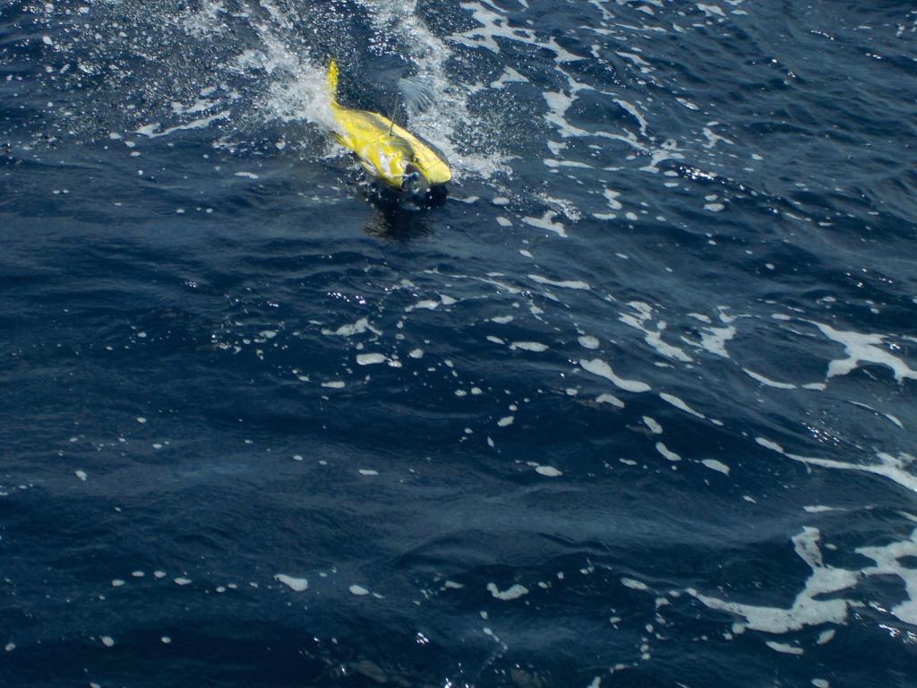 Mahi Mahi on the line.jpg