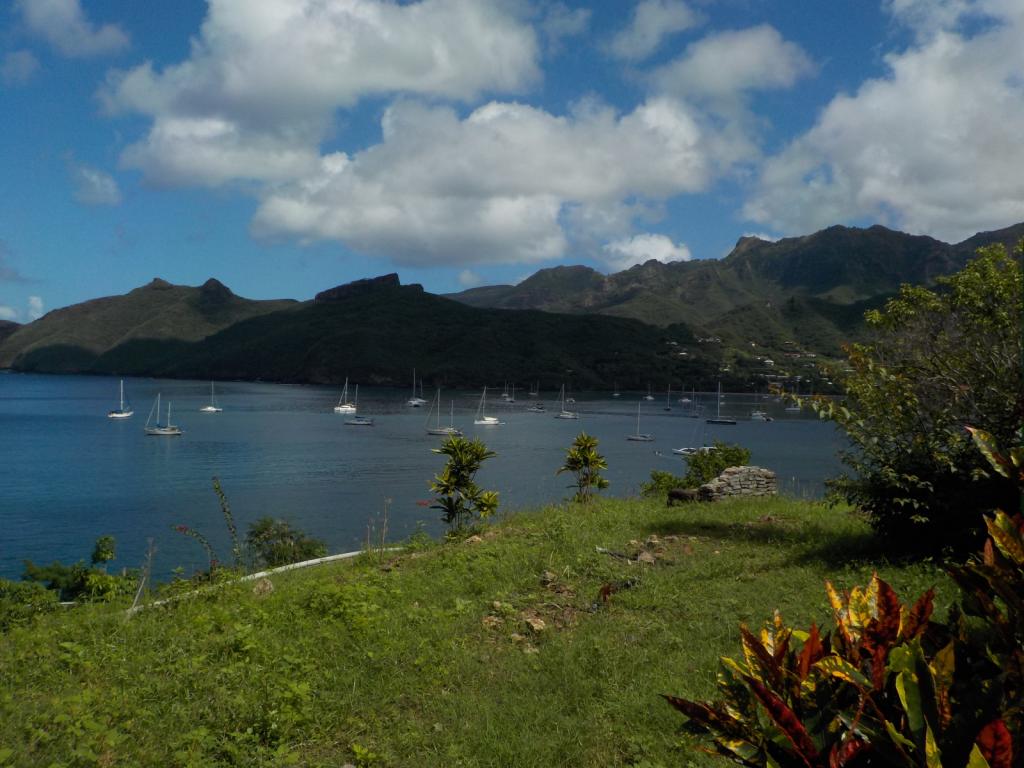 Harbour view from Tiki hill.jpeg