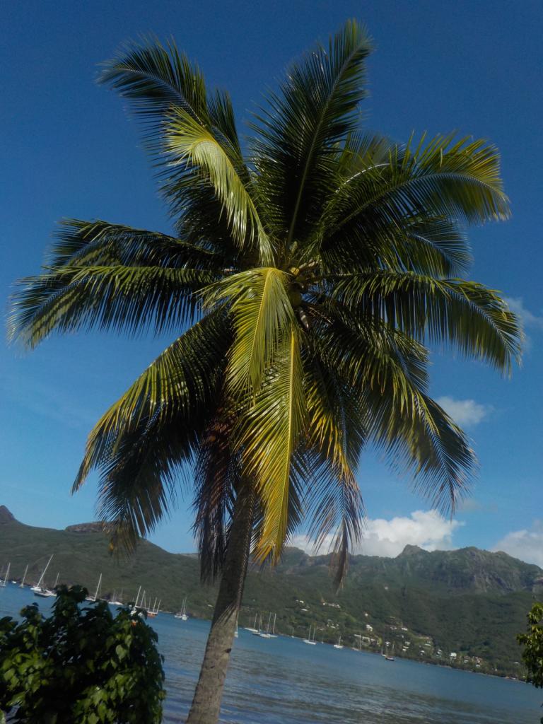Slanted view of harbour.jpeg