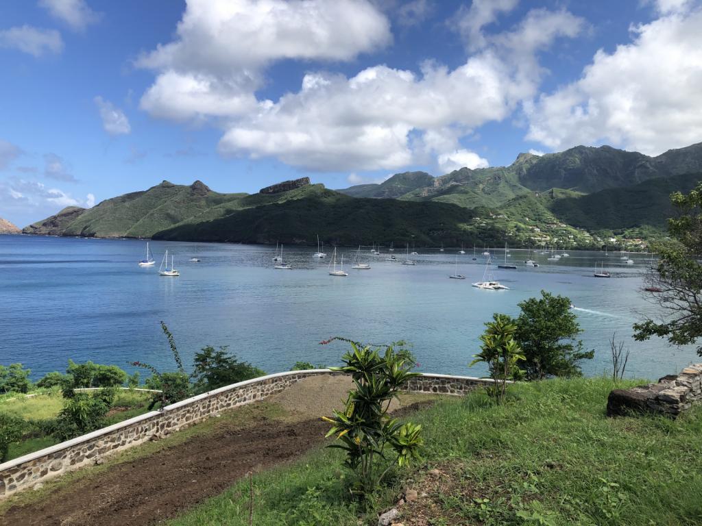 Harbour from Tiki Hill.jpg