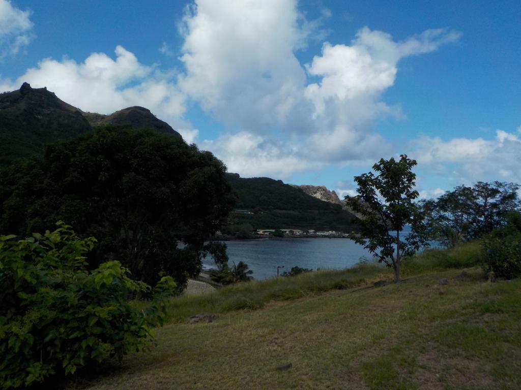 Part of harbour from Tikihill.jpeg