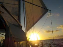 3510Sailing into the sun set.jpeg