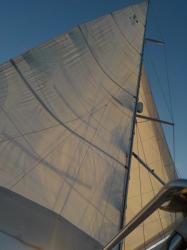 3514Sails at sun set.jpeg