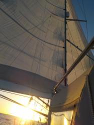 3513Sails at sunset.jpeg